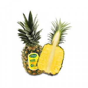 IMG-PRODUCT